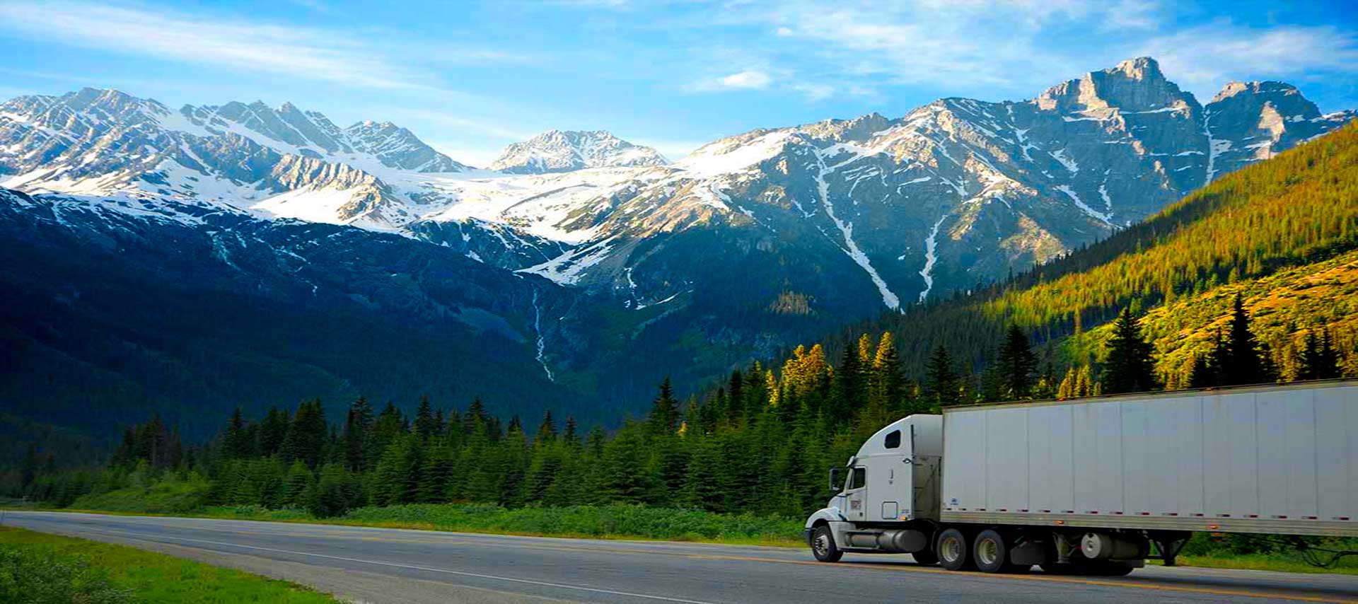 International Air freight